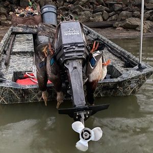 Meet your Posher, Colt